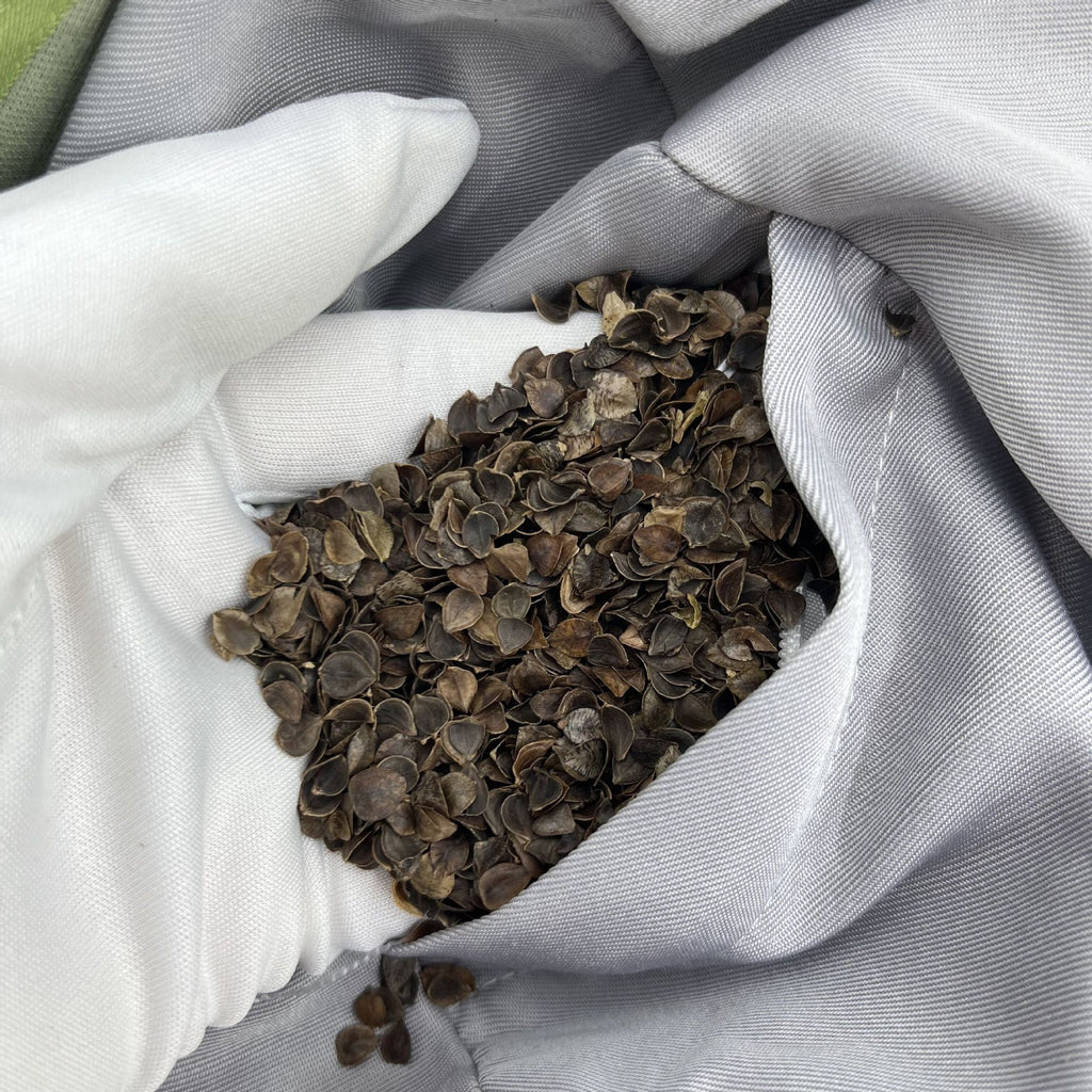 Yoga Cushion for Peaceful Meditation and Relaxation